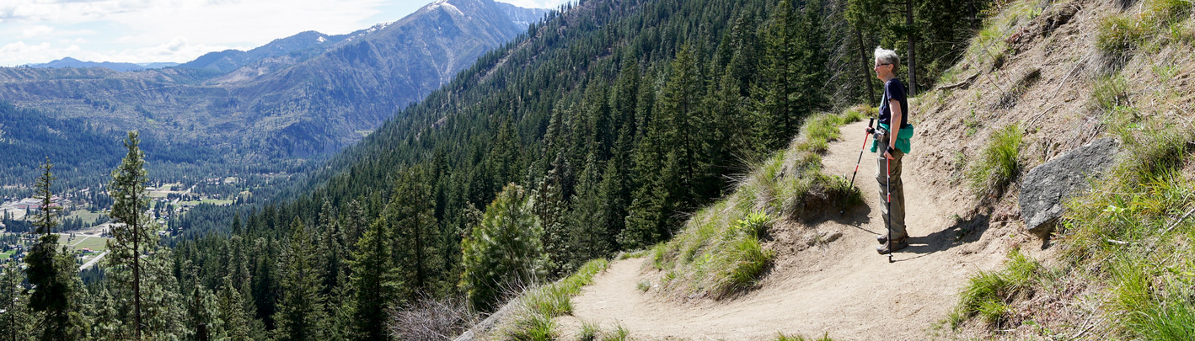 category 0 banner